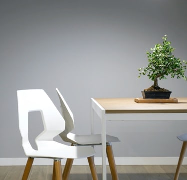Modern interior - Chairs and Table with a Bonsai Tree